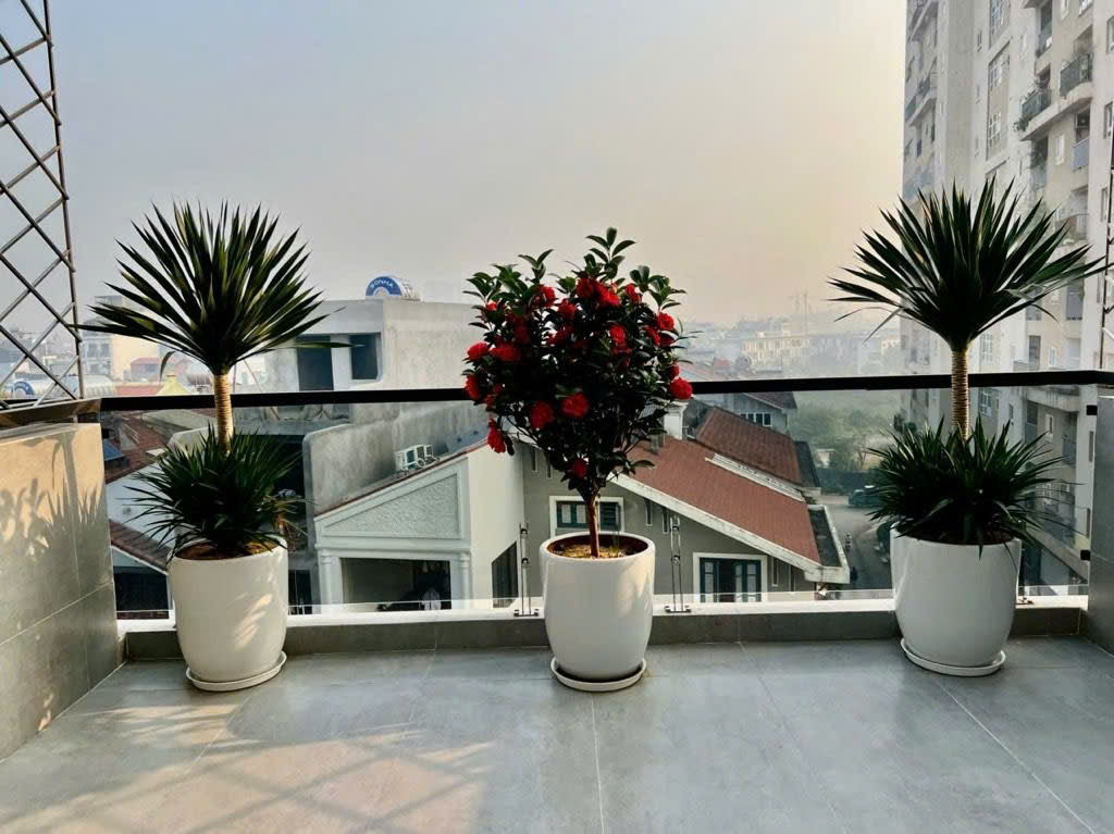 {r2r2} B.Á.N M.ẢNH .ĐẤT 91M -  SI.ÊU HI.ẾM - NGỌC THỤY